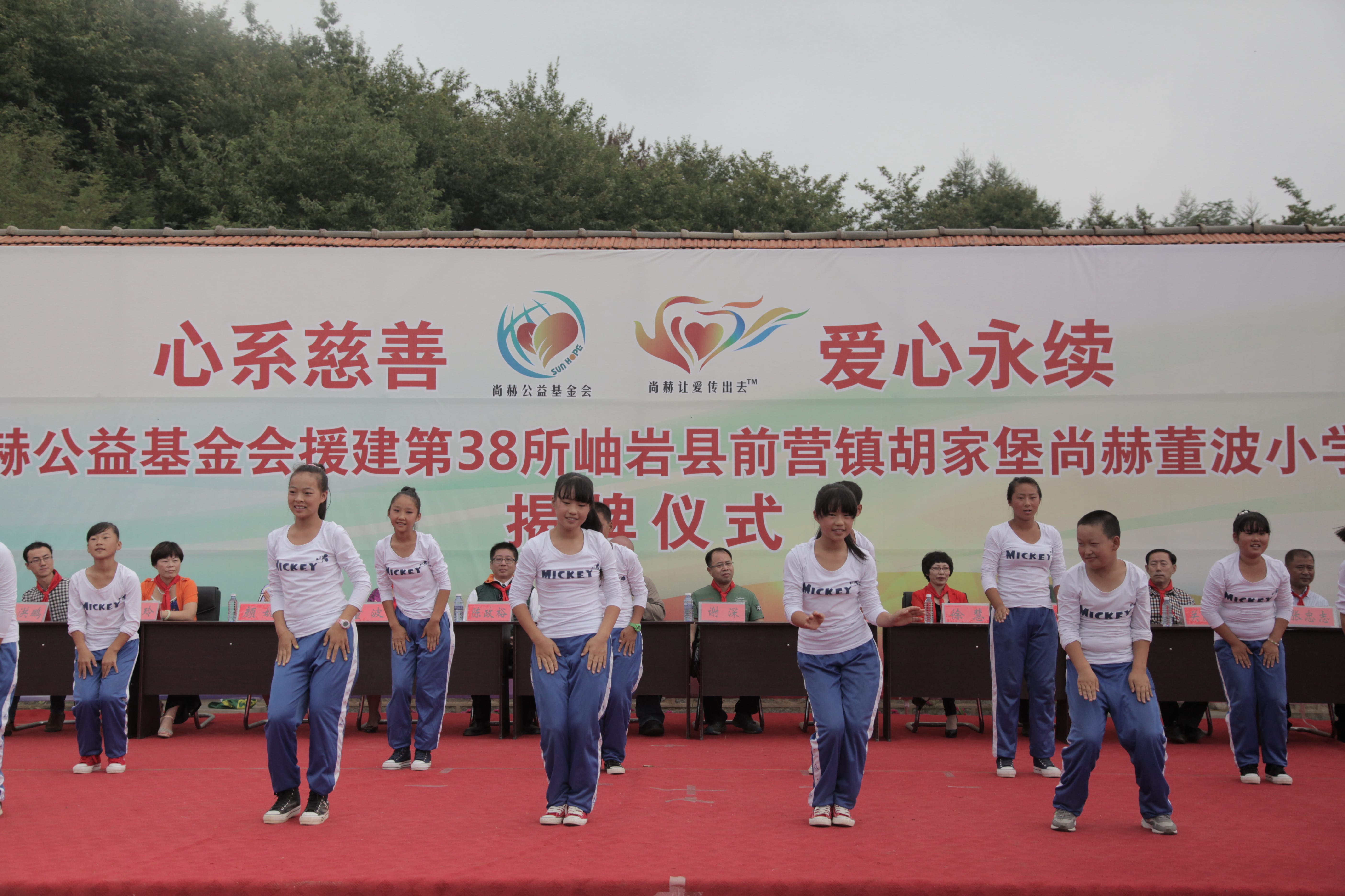 第38所 岫岩县前营镇胡家堡米兰milan（中国）董波小学