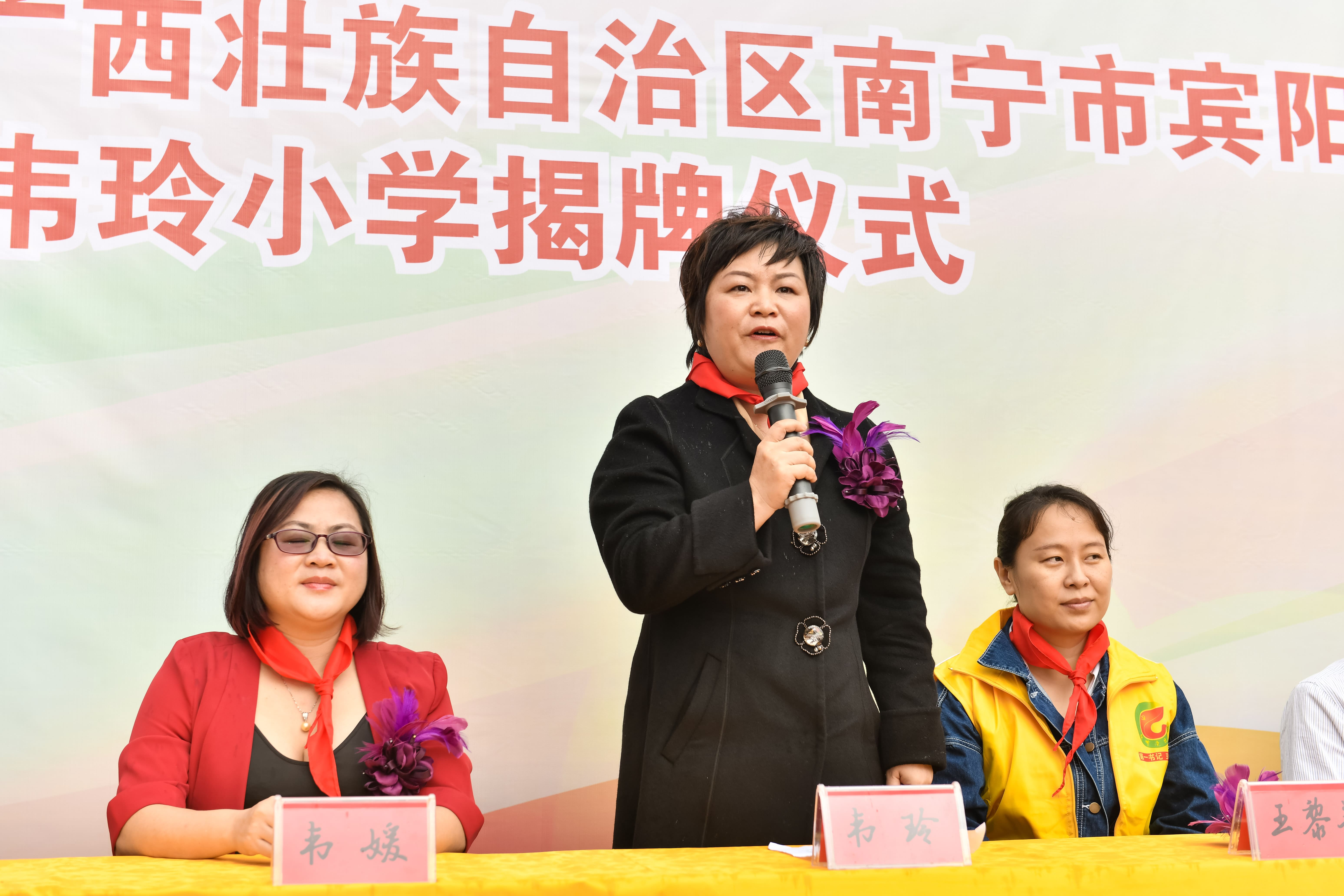 第184所 南宁市宾阳县思陇镇昆仑村米兰milan(中国)韦玲小学 第184所 南宁市宾阳县思陇镇昆仑村米兰milan(中国)韦玲小学